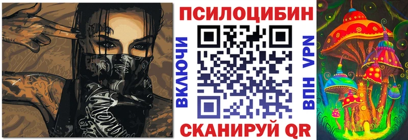 kraken зеркало  Духовщина  Псилоцибиновые грибы прущие грибы 